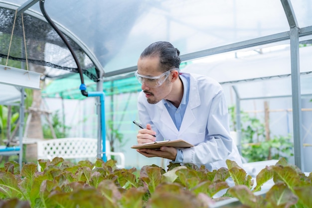 Landbouwwetenschapper die onderzoek doet naar een groene groenteplant op een gebied van biologielaboratorium, biotechnologie is een technologie, botanie-experiment van natuurecologie, biologische groei van de glastuinbouw