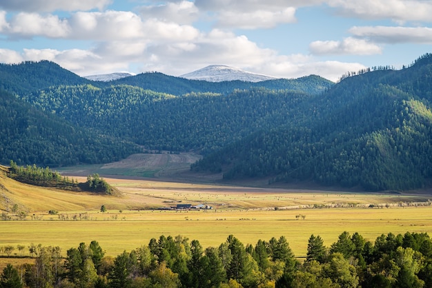 Landelijk berglandschap in de herfst rusland berg altai