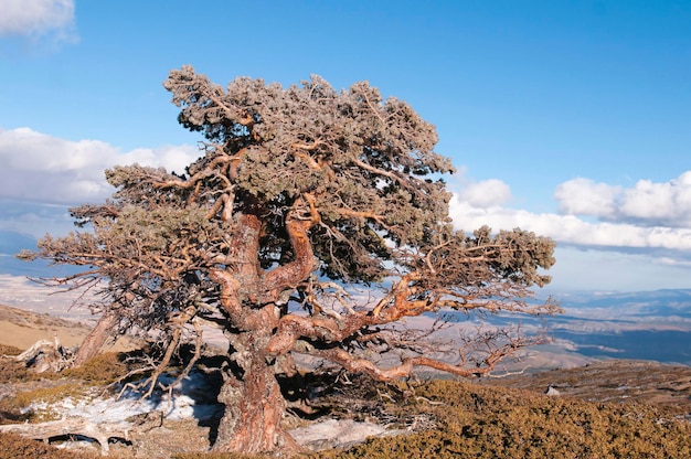 Landelijk dorp Los Cortijillos in het natuurpark Sierra de Baza - Granada