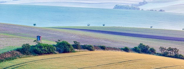 Foto landelijk europa achtergrondpanorama van het moravische glooiende landschap met jachttorenhut in de vroege ochtend bij zonsopgang moravië tsjechië