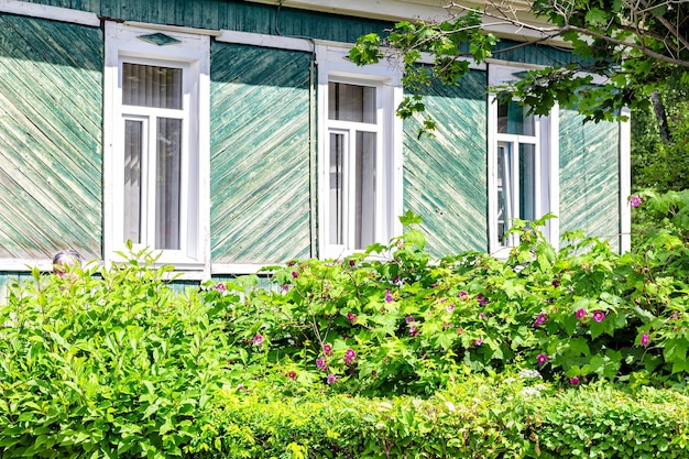 Landelijk houten huis omhuld met houten planken geverfd met blauwe of groene verf geschild