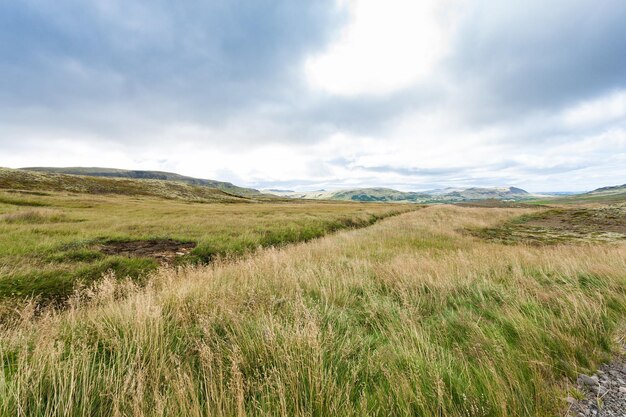 Landelijk landschap bij Skeggjastadir-boerderij in IJsland