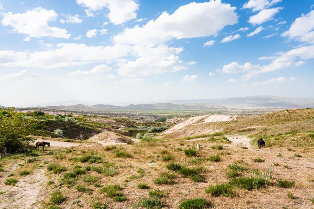 Landelijk landschap in de buurt van de stad uchisar in cappadocië