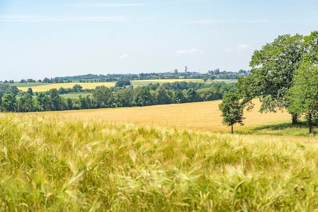 landelijk landschap in Hohenlohe