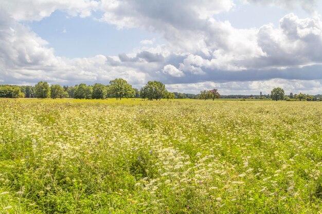 landelijk landschap in Hohenlohe