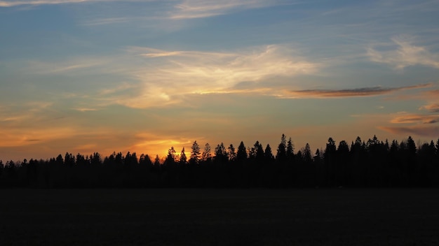 Landelijk landschap. Kleurrijke zonsondergang op de achtergrond van bomen. Leningrad regio, Rusland.