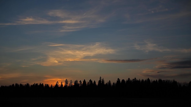 Landelijk landschap. Kleurrijke zonsondergang op de achtergrond van bomen. Leningrad regio, Rusland.