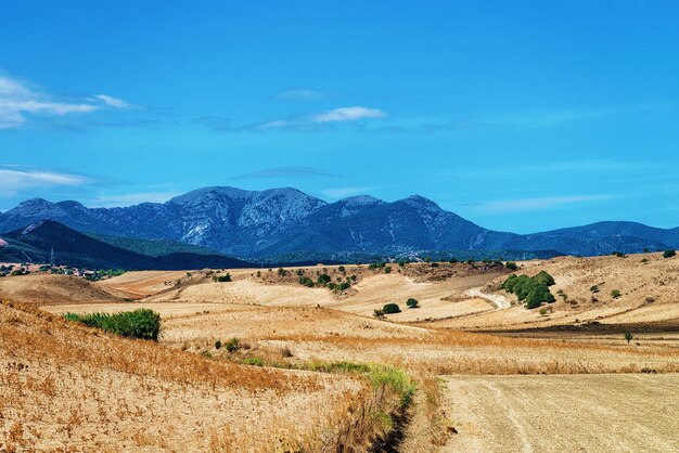 Landelijk landschap met bergen in Villasor, Cagliari, Zuid-Sardinië in Italië