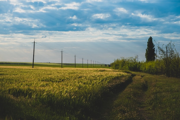 Landelijk landschap met een weg landbouwgrond natuur agrarisch landschap