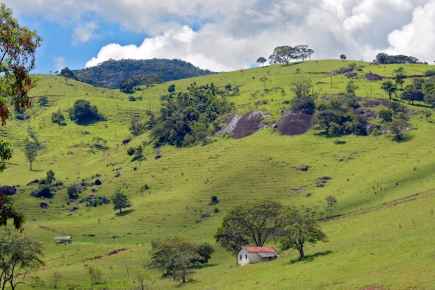 Landelijk landschap met gras, bomen en huisje op de heuvel. Minas Gerais, Brazilië
