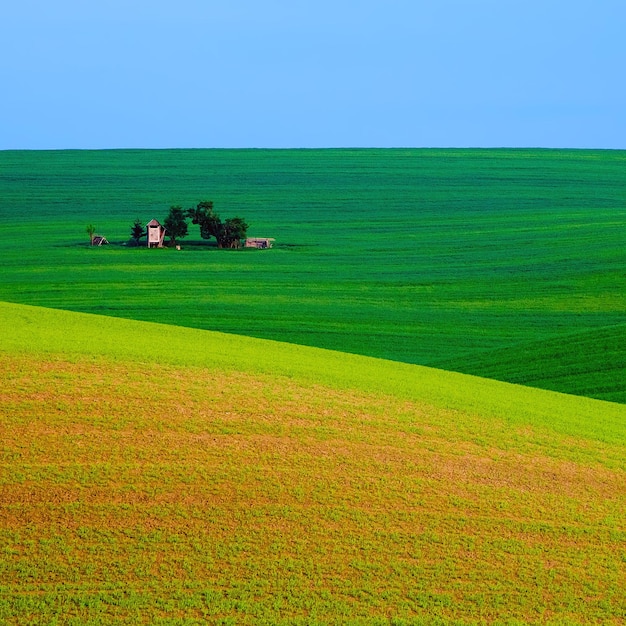 Landelijk landschap met groene veld blauwe lucht en houten jachthut Zuid-Moravië, Tsjechië