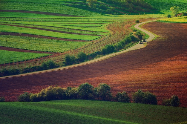 Landelijk landschap met groene velden, autoweg en golven, Zuid-Moravië, Tsjechië