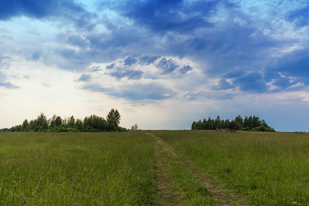 Landelijk landschap met groep bomen