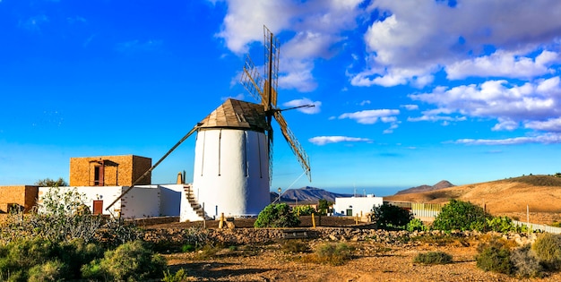 Landelijk landschap met traditionele windmolen