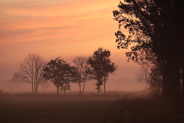 Foto landelijk landschap op een herfstochtend