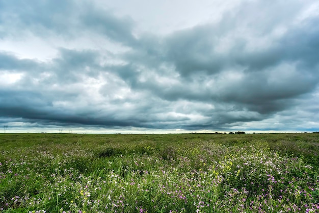 Landelijk landschap stormachtige provincie Buenos Aires, Argentinië