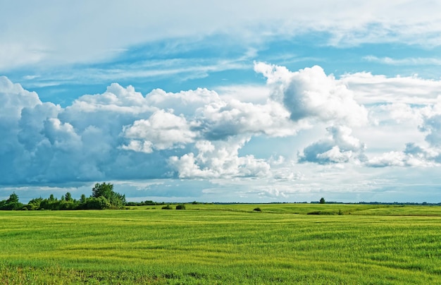 Landelijk landschap van het veld en de lucht met dramatische wolken, litouwen.