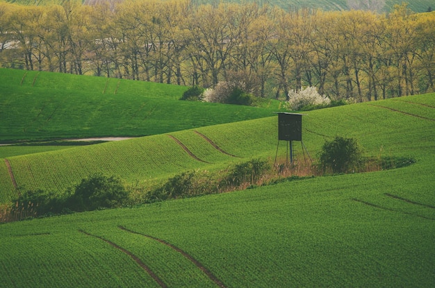 Landelijk lentelandschap