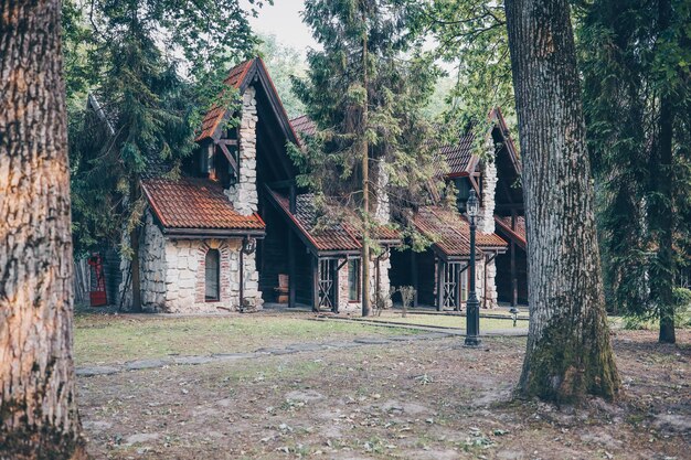 Landelijk oud landelijk huis midden in het bos