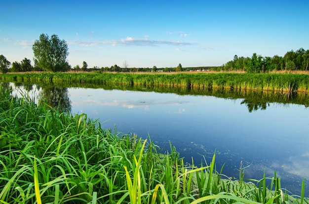 Landelijk zomerlandschap met riviergroen gras en blauwe lucht