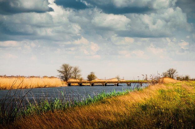 Landelijk zomerlandschap voor de storm