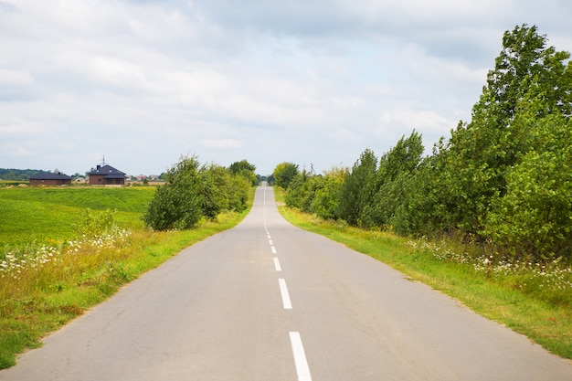 Landelijke, asfaltweg op groen gebied