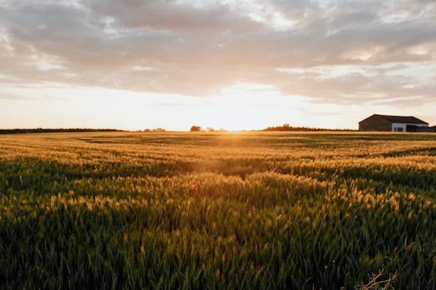 Landelijke boerderij tijdens de zonsondergang