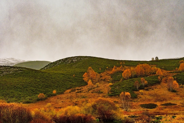 Landelijke landschappen in het binnenland van asturië