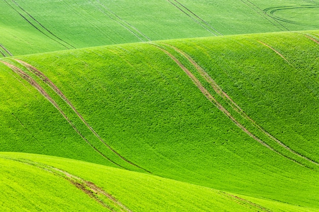 Landelijke lente landbouw textuur achtergrond