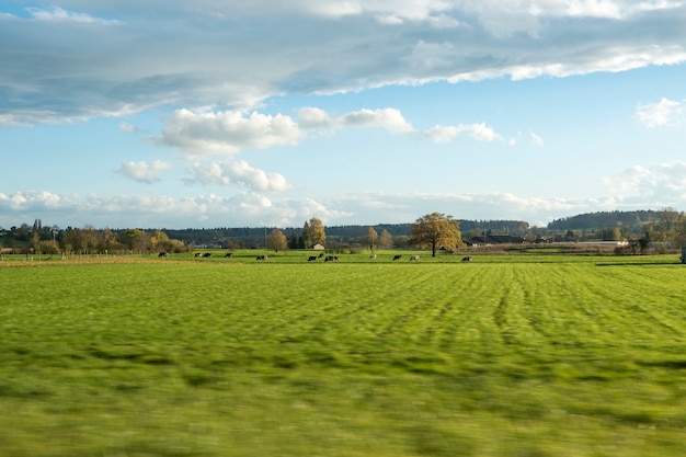 Landelijke mening en berg in zwitserland