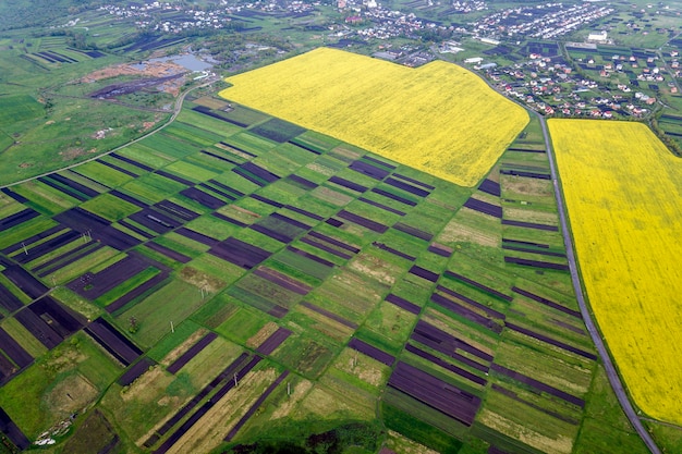 Landelijke omgeving op lente of zomerdag. Luchtfoto van groene, geploegde en bloeiende velden, huis daken op zonnige dageraad. Drone fotografie.