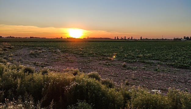 Landelijke velden bij zonsondergang in de Italiaanse vlakte in de lente