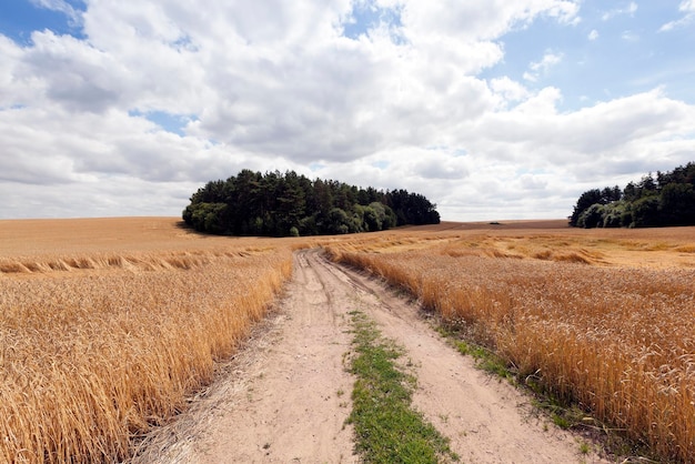 Landelijke verharde weg