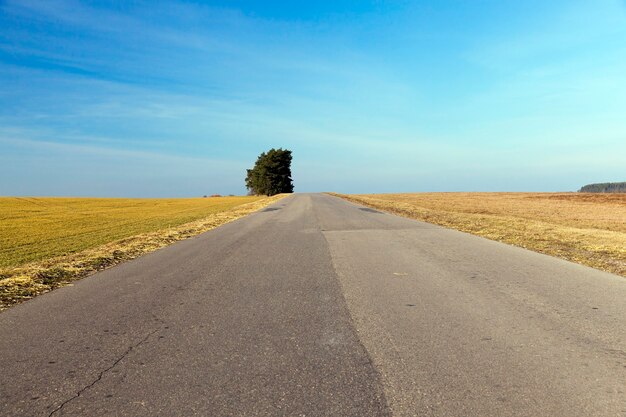 Landelijke weg bedekt met verschillende asfaltlagen in de zomer.