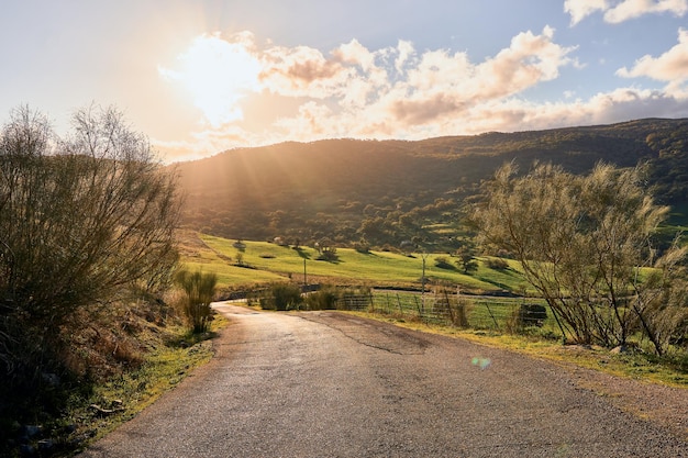 Landelijke weg groene weide zonnige berg