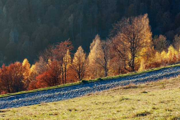 Landelijke weg in de herfst mistige berg en kleurrijke bomen op helling.