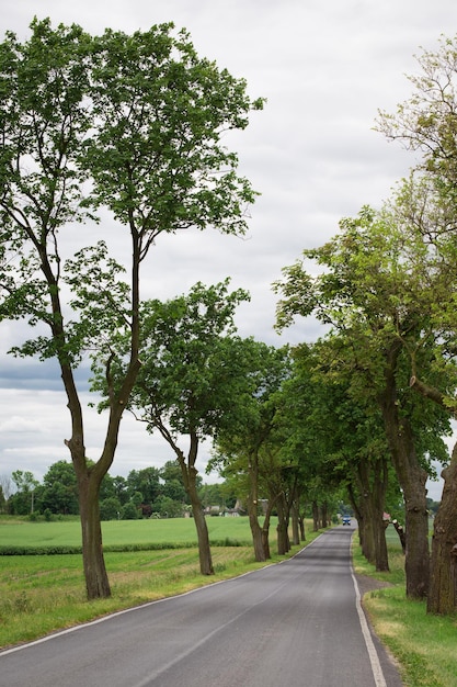 landelijke weg