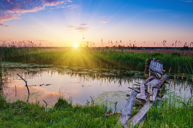 Landelijke zomerzonsopgang