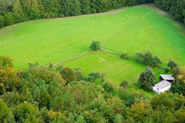 Landhuis op een achtergrond van het bos en de groene velden Uitzicht van bovenaf