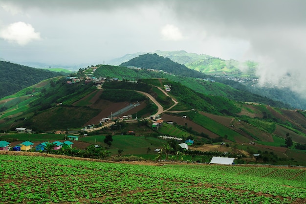 タイの山の農地の風景