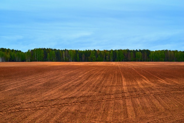 Foto paesaggio del campo agricolo e dei seminativi sullo sfondo del cielo