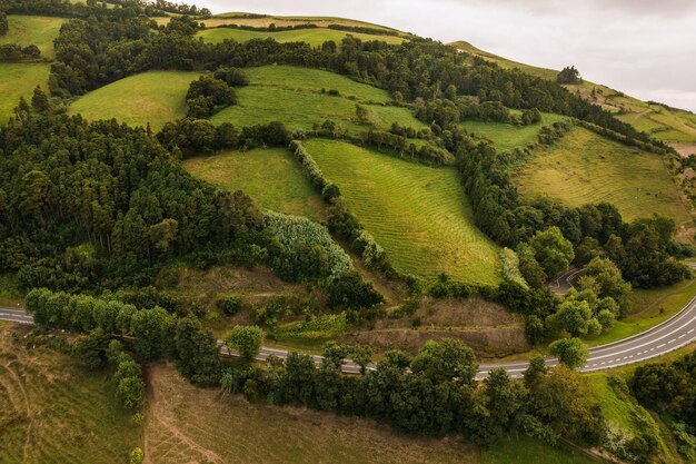 Landscape of agricultural fields in summer