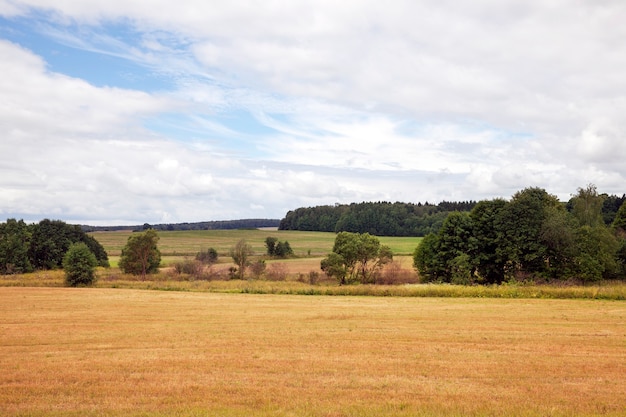 Пейзаж на сельскохозяйственных полях с пожелтевшей сухой травой