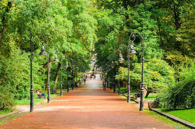 風景、路地、公園、ベンチのある通り、提灯と木々、秋が来て、夏が終わる