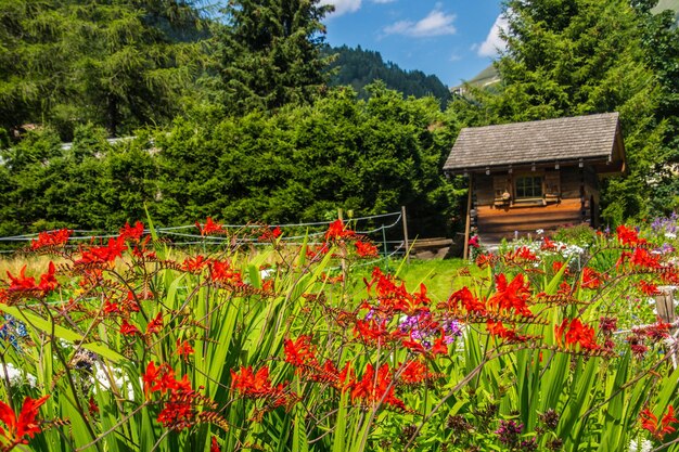 Landscape of the Alps in France in summer