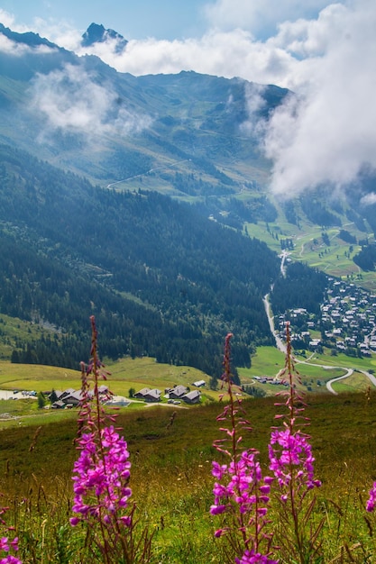 Photo landscape of the alps in switzerland in summer