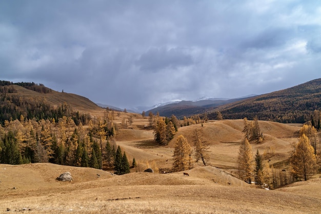 Landscape of the Altai Mountains and the North Chui Ridge in Siberia Altai Republic Russia