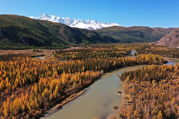 landscape altai russia, autumn top view, drone over the forest