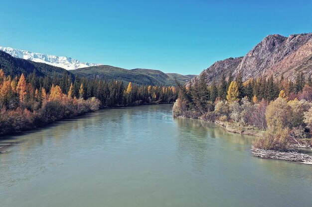 landscape altai russia, autumn top view, drone over the forest