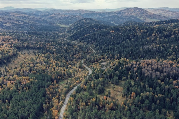 landscape altai russia, autumn top view, drone over the forest